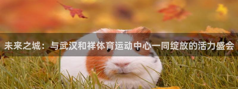 欧亿体育官方正版app娱乐网站:未来之城:与武汉和祥体育运动