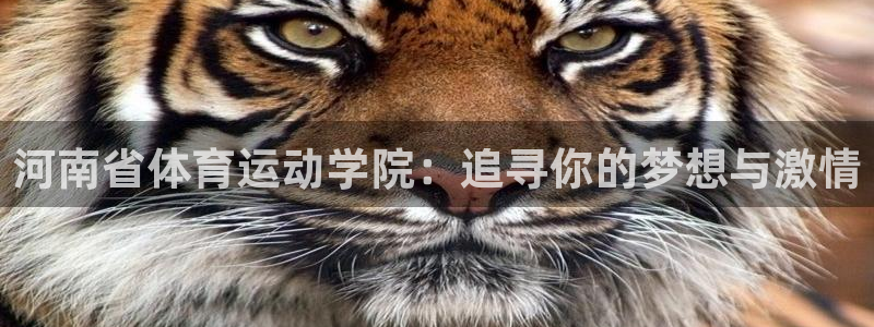 oety欧亿体育官网下载平台注册要钱吗:河南省体育运动学院: