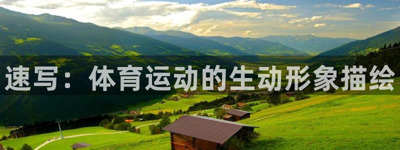 oety欧亿体育官网下载平台假的吗是真的吗:速写:体育运动的