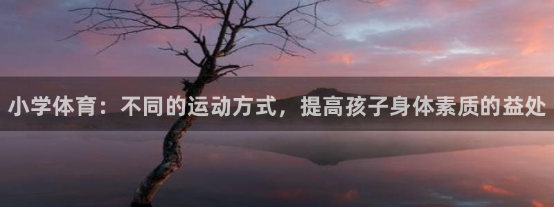 欧亿体育官方正版app集团E.ON:小学体育:不同的运动方式
