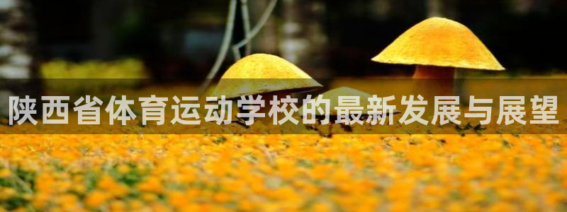oety欧亿体育官网下载招商电话是多少号码:陕西省体育运动学