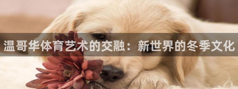 欧亿体育官方正版app娱乐网站:温哥华体育艺术的交融:新世界