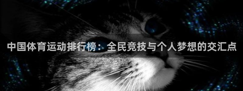 欧亿体育官方正版app新能源:中国体育运动排行榜:全民竞技与